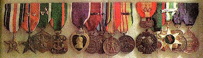 Mike's medals