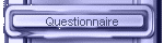 Questionnaire
